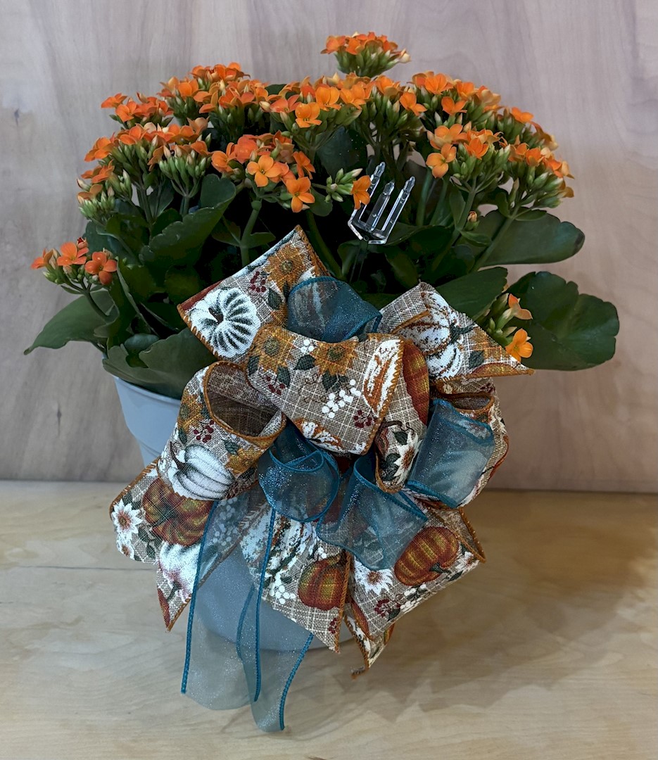 Flowers from Dan and Cindy Hauk