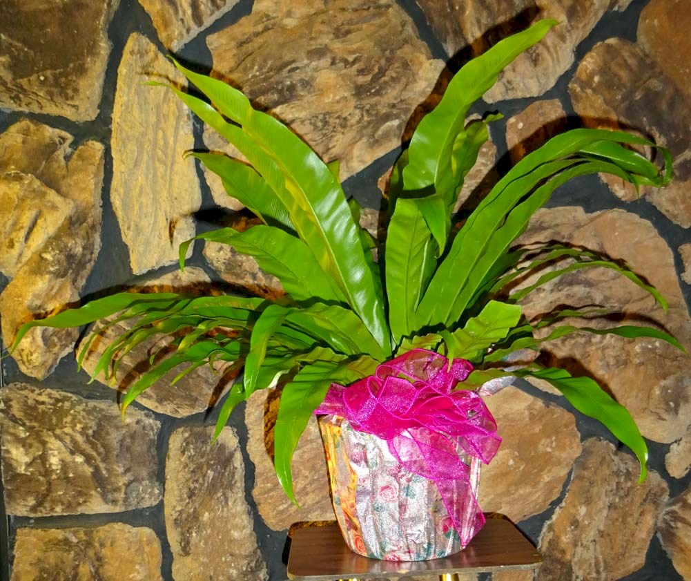 Flowers from Cathie Handcock and Family