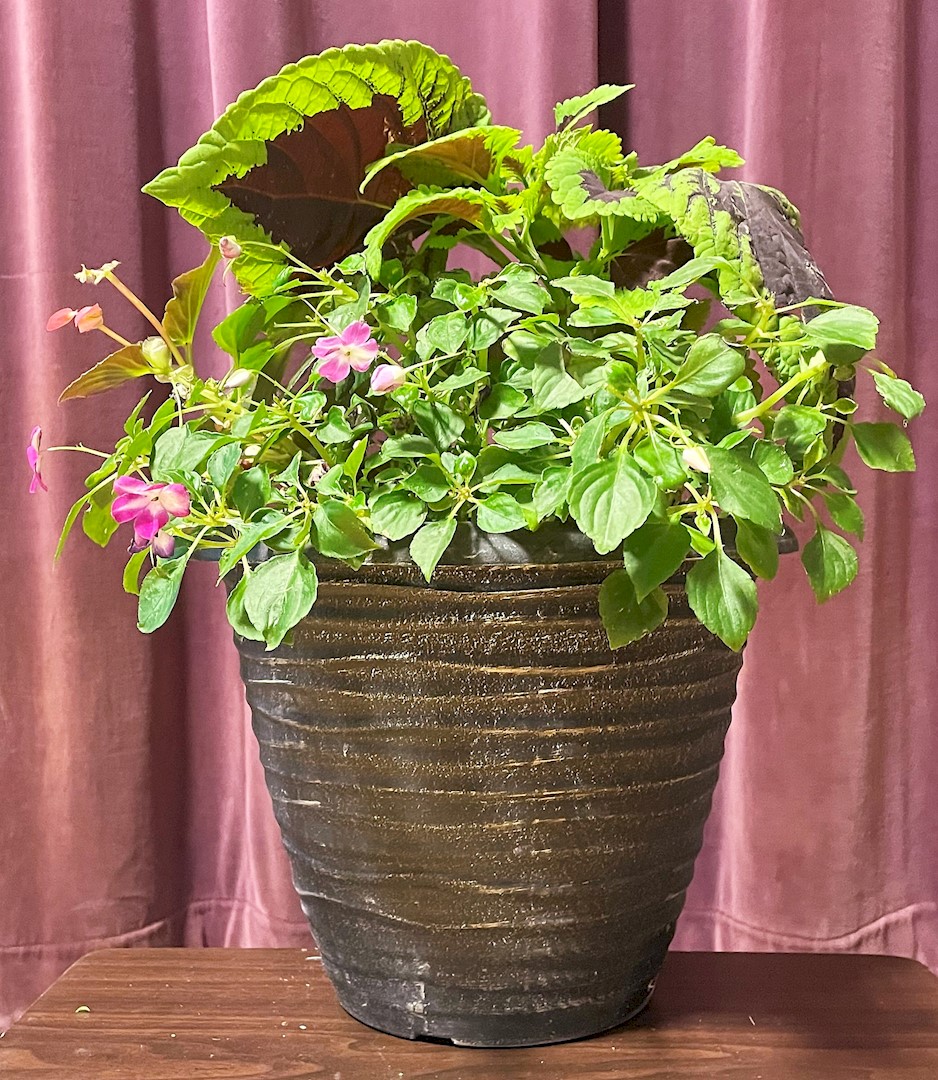 Flowers from Kadoka Area School Staff and School Board