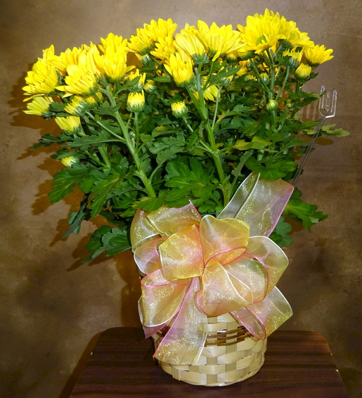 Flowers from Dakota Pharmacy
