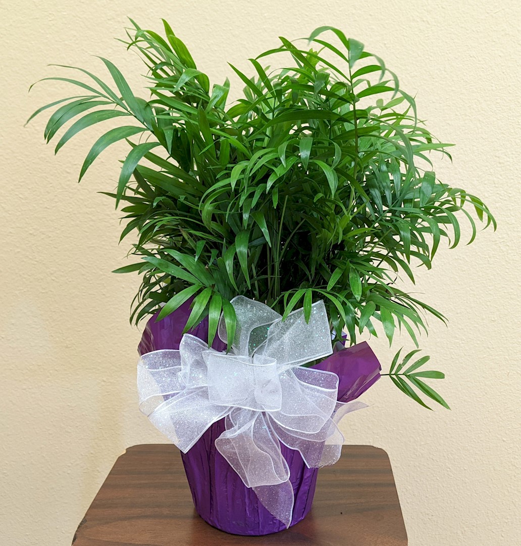 Flowers from 1st National Bank - Shaun, Sophie, Caroline, and Sherrie