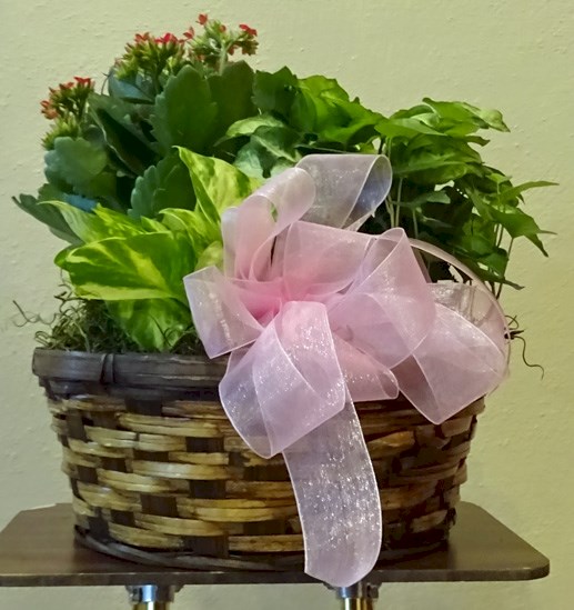 Flowers from Your Cousins - Ione, Rollie, Mary, Chuck, Denise, and Families