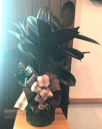 Flowers from The Bork "Kids": Angie, Jenny and Allen, Kimmy and Luke, Danny and Caroline, and Shelby