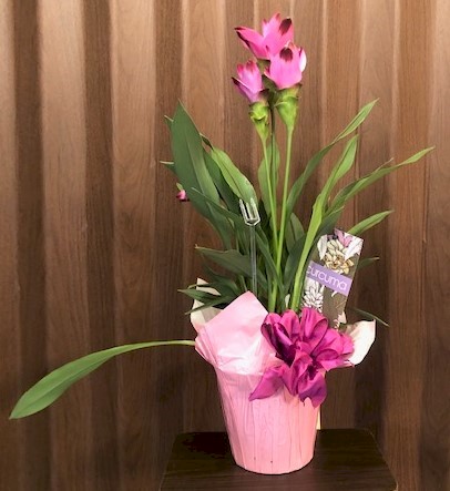 Flowers from Grace and Marlin Richman and Pat Mead