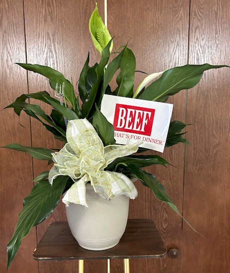 Flowers from Everyone at Darr Feedlot