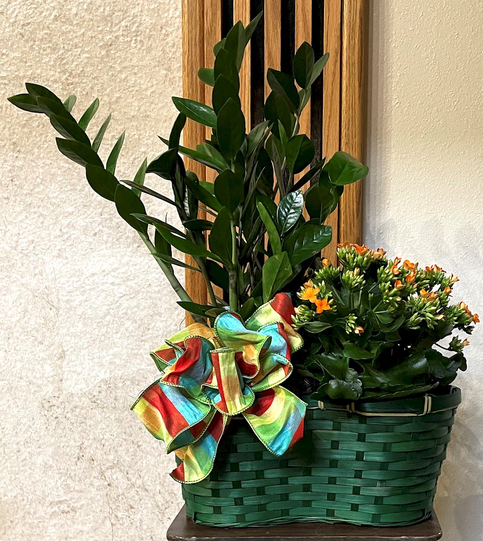 Obituary Vaughn Hansen