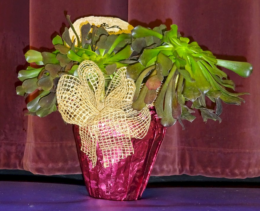 Obituary Harvey Byrd