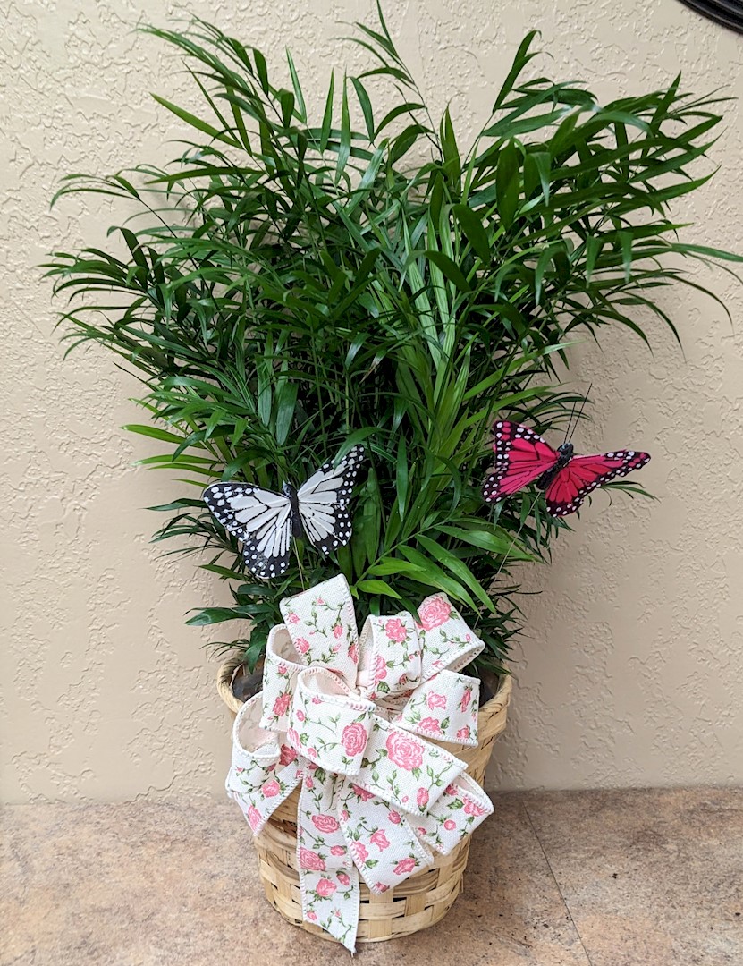 Flowers from Philip Health Services TLC and Board of Directors