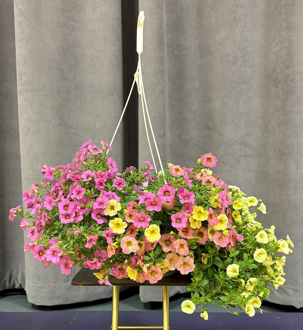 Flowers from Kadoka Area School, Staff, Students and School Board