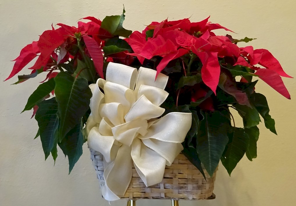 Flowers from Wayne & June Overland, Mike and Karla Janssen & Family, and Scott & Toni Vance & Family