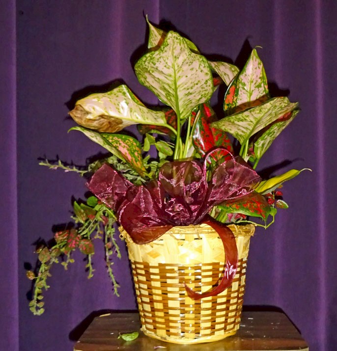 Flowers from Bible Baptist Church