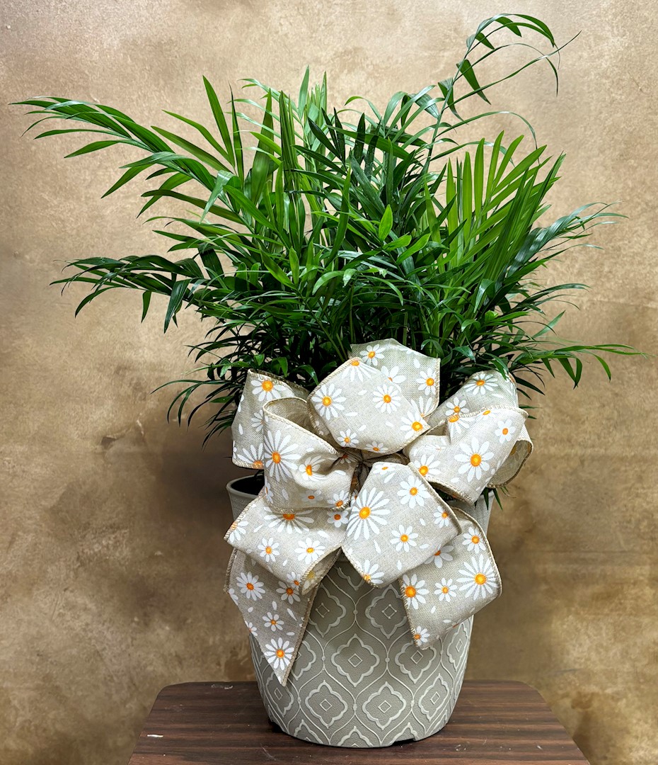 Flowers from 1st National Agency