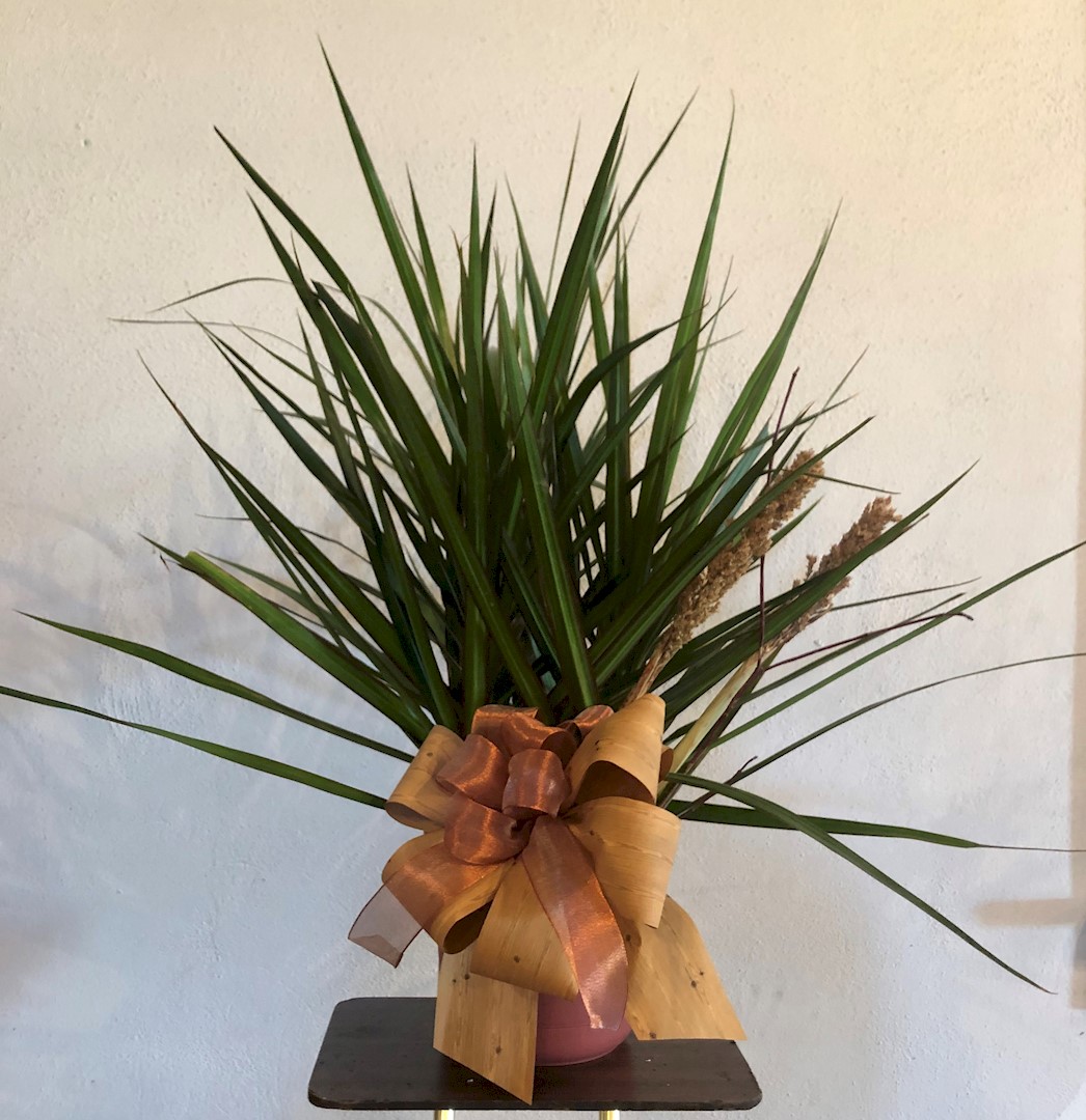 Flowers from The Schell Family