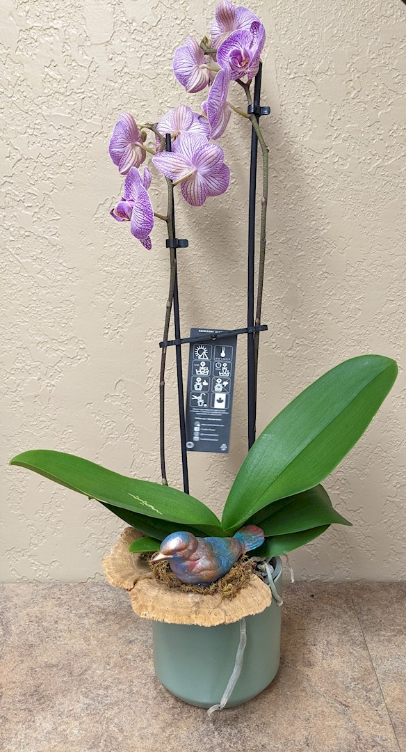 Flowers from Lori and Judi