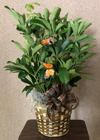 Flowers from Kent and Steph Kjerstad and family