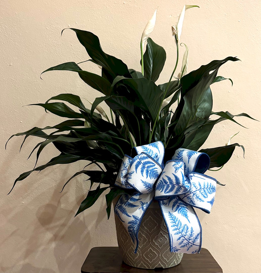 Flowers from Your fellow workmates at the Coffee Cup