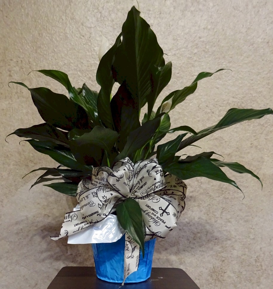 Flowers from Judy Yocum