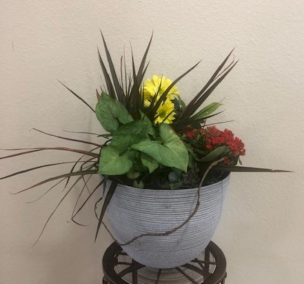 Flowers from Karren Thompson Family; Robyn Bertolotto Family; and Terry Dauwen