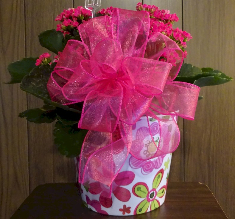 Flowers from The Wall Meat's Team