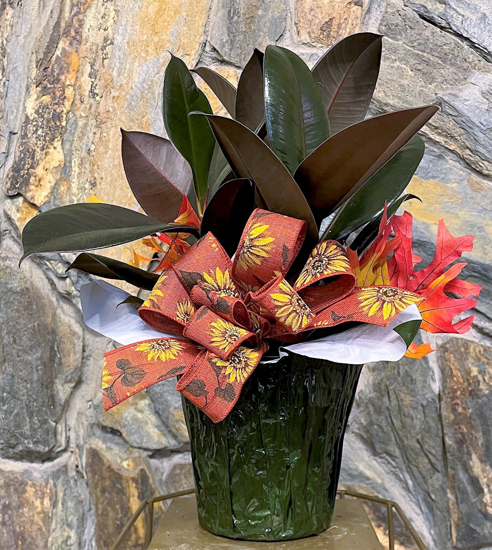 Flowers from Haakon School