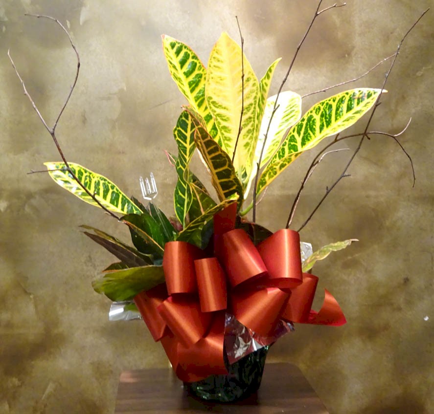 Flowers from Carolyn and Robert