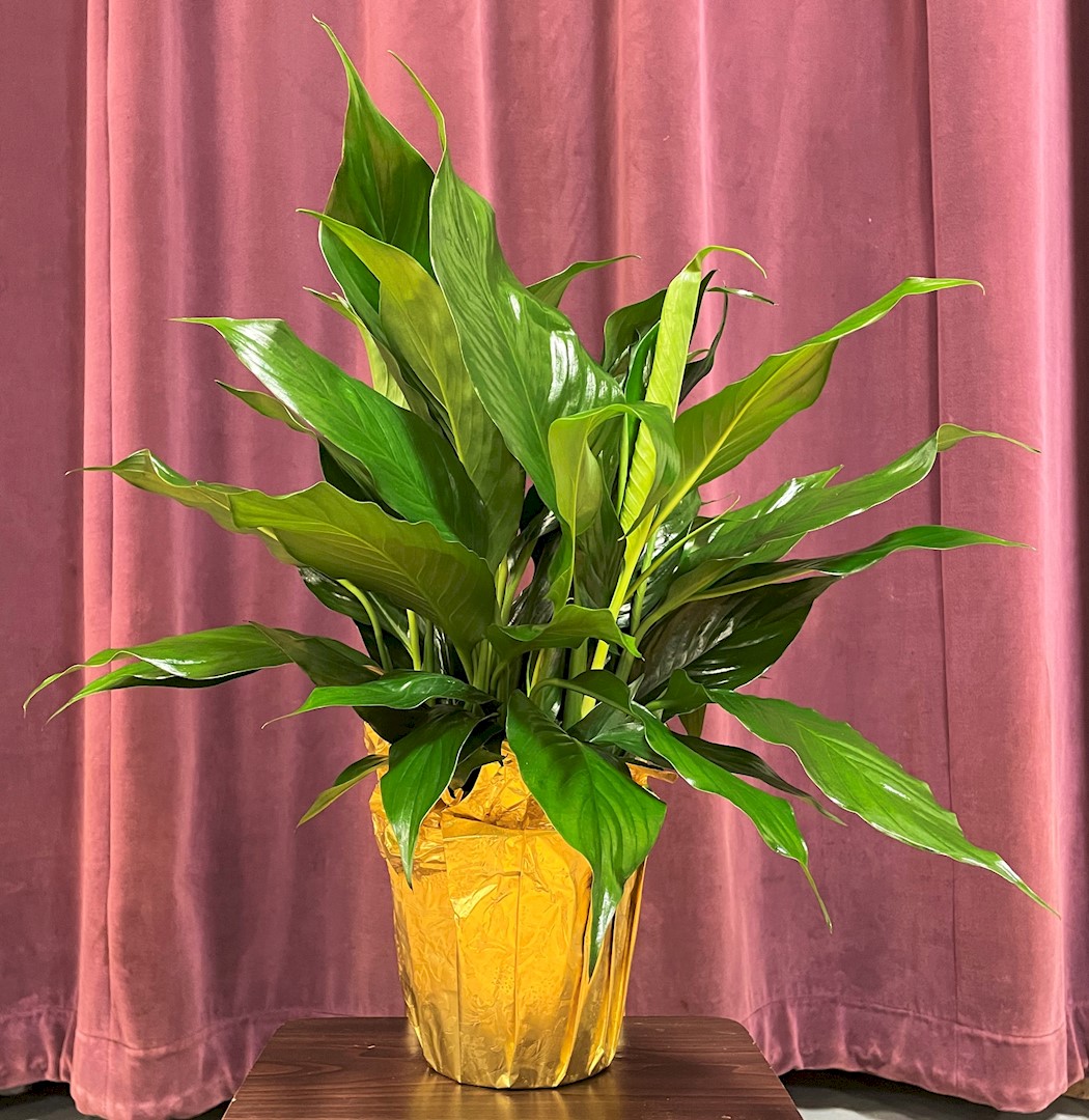 Flowers from Cathie and Family and C.D. Uhlir