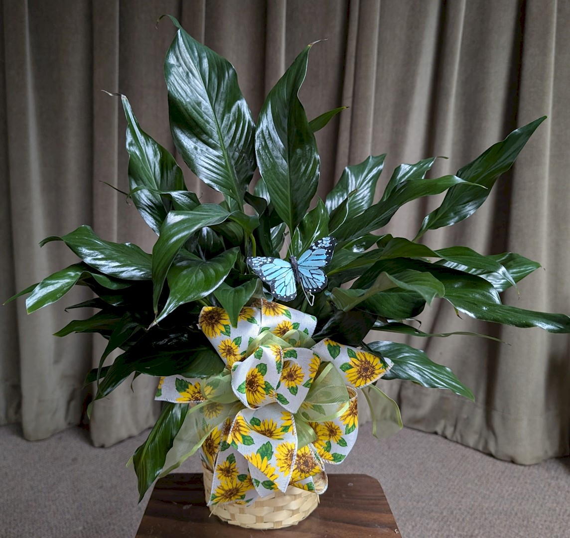 Flowers from Rudy and Susan Roth