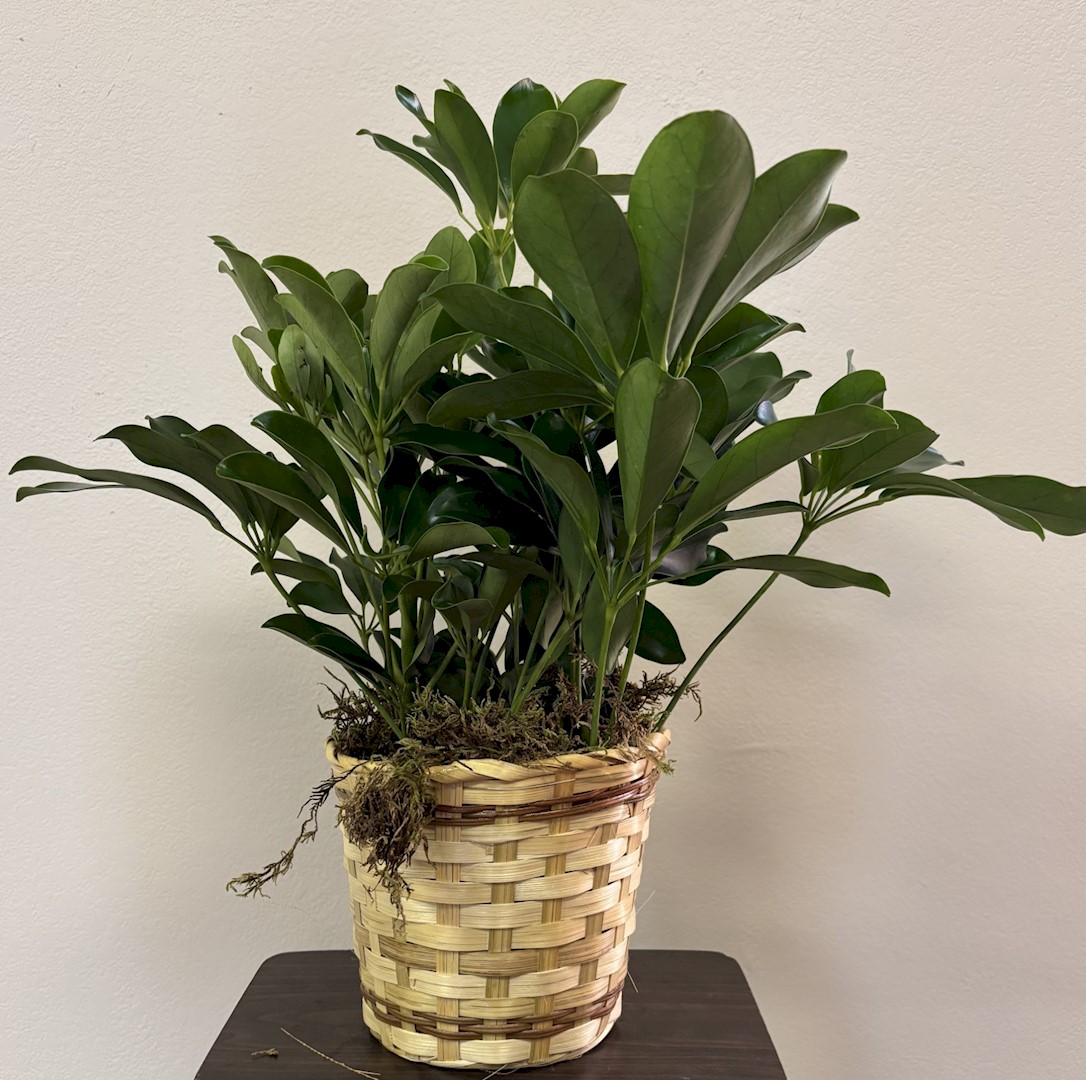 Flowers from Hulett School Staff