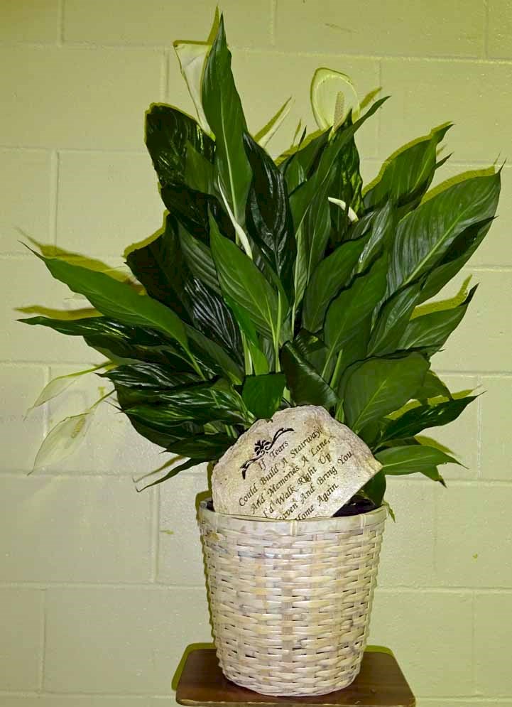 Flowers from Class of 77