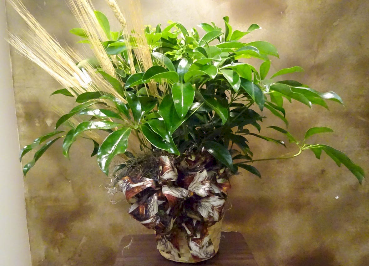 Flowers from Hamil Harvesting - Randy & Debra, Hank & Catherine, Cathleen, Hannah & Matthew, Nathan & Heath, Annette & Corbin, and Kendall