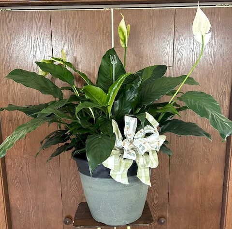 Flowers from Mike and Rose and Michael and Dana