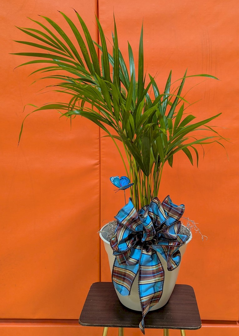 Flowers from Riter, Rogers LLC