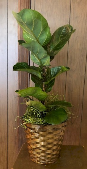 Flowers from Kadoka Nursing Home Staff, Residents, and Board of Directors
