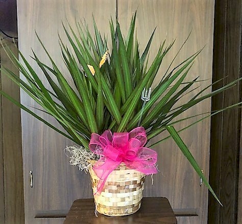 Flowers from Bill Lyle