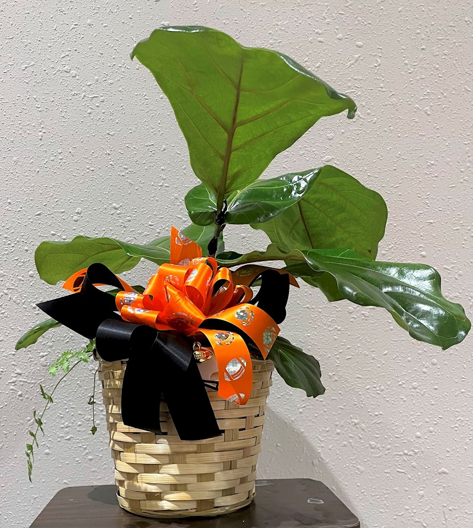 Flowers from Badlands Eagles Jr. Football Peewee Team