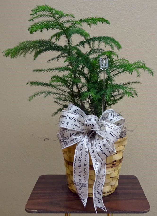 Flowers from Greenline Implement and C & B