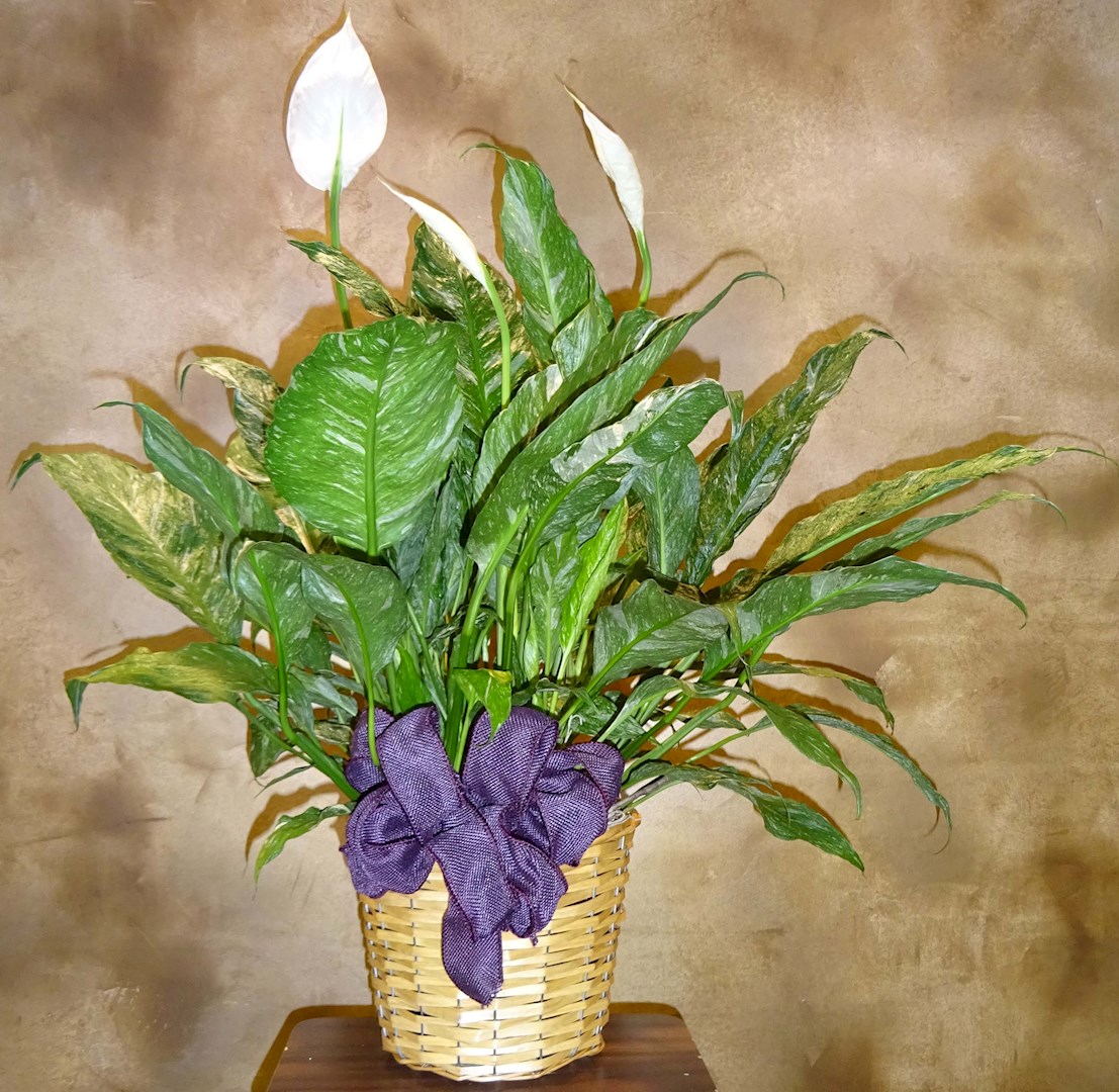 Flowers from Mt. Olivet Church of Huron