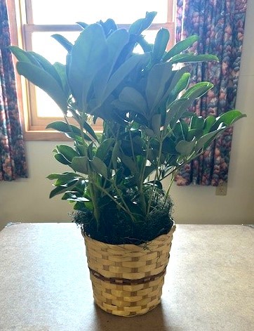 Flowers from Donella (Headlee) and Darrell Herman