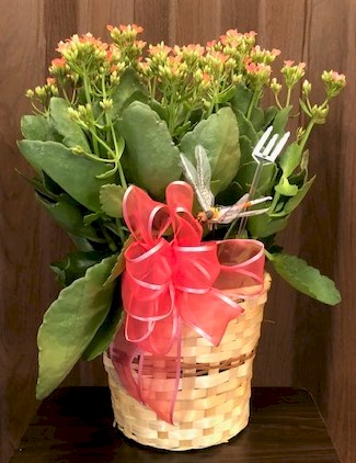 Flowers from Bill Lyle