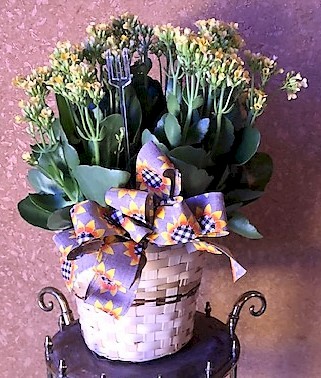 Flowers from Dakota Country Pharmacy