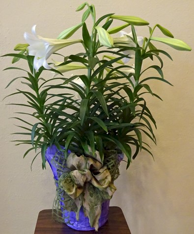 Flowers from Brian, Misti, Mason, and Mya Hostutler