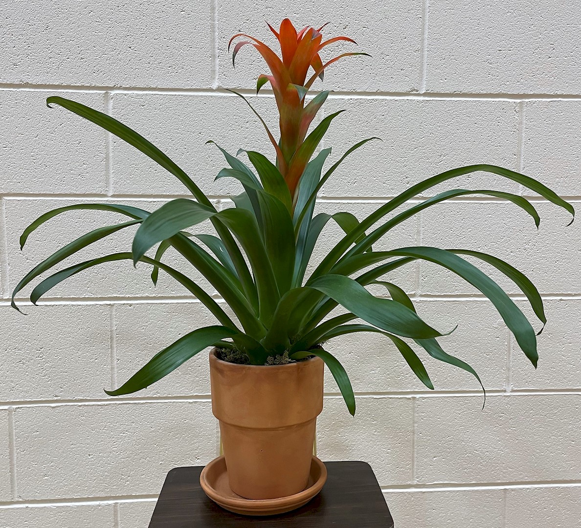 Flowers from Cindy and Paul