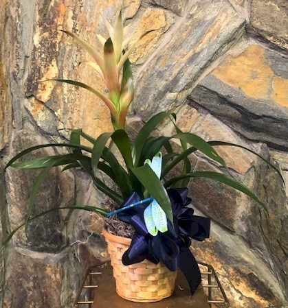 Flowers from Philip Health Services, TLC, and Board of Directors