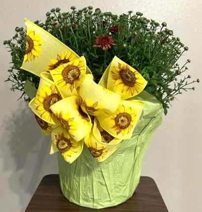 Flowers from June and Arvin and Stacy and Zach