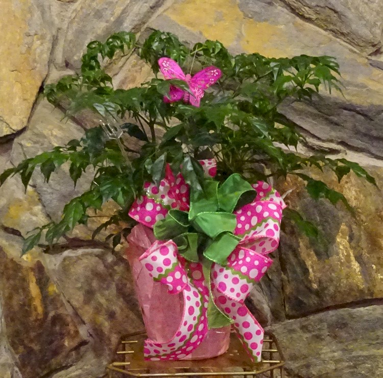 Flowers from Morrison's Pit Stop and NAPA
Dale & Tami Morrison