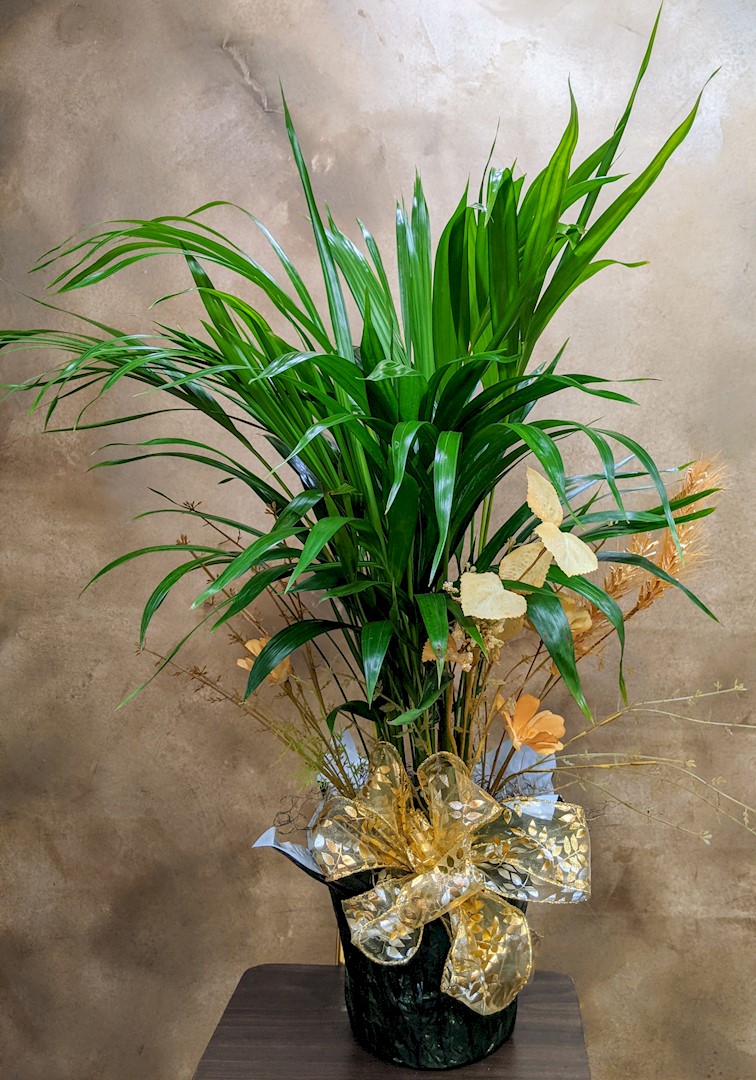 Flowers from Ron and Jan Determan