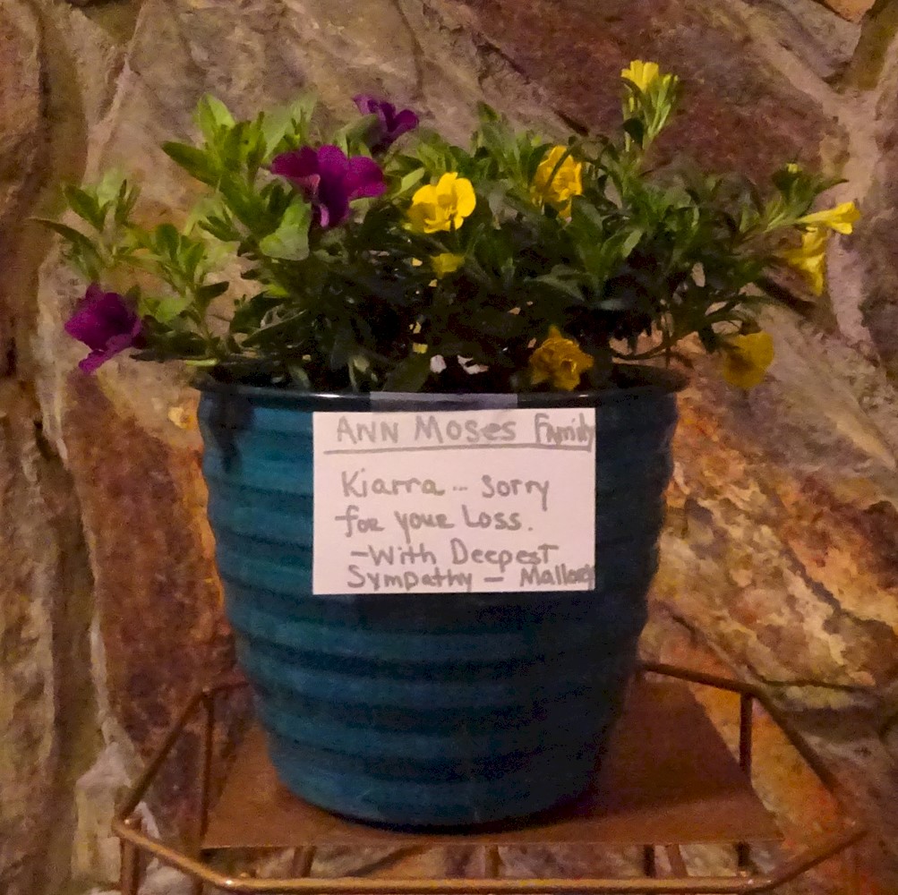 Flowers from Mallory