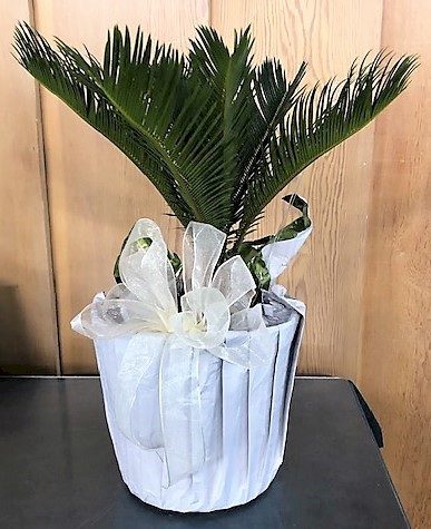 Flowers from Jim and Debbie Antonsen and Families