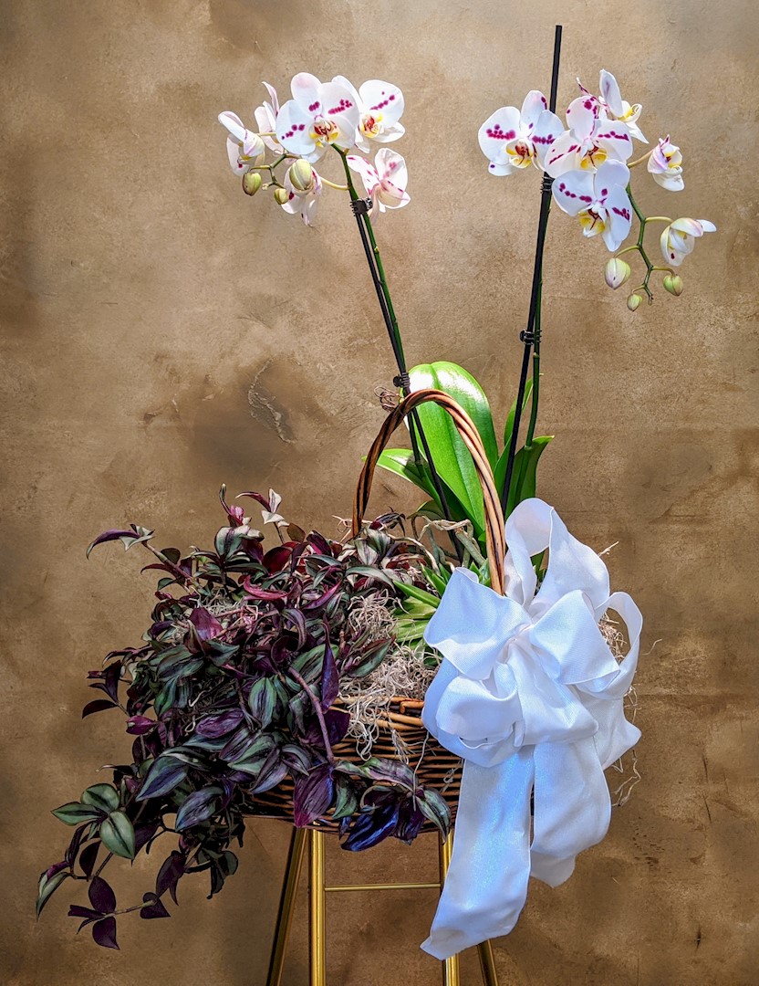 Flowers from Paula and Christina