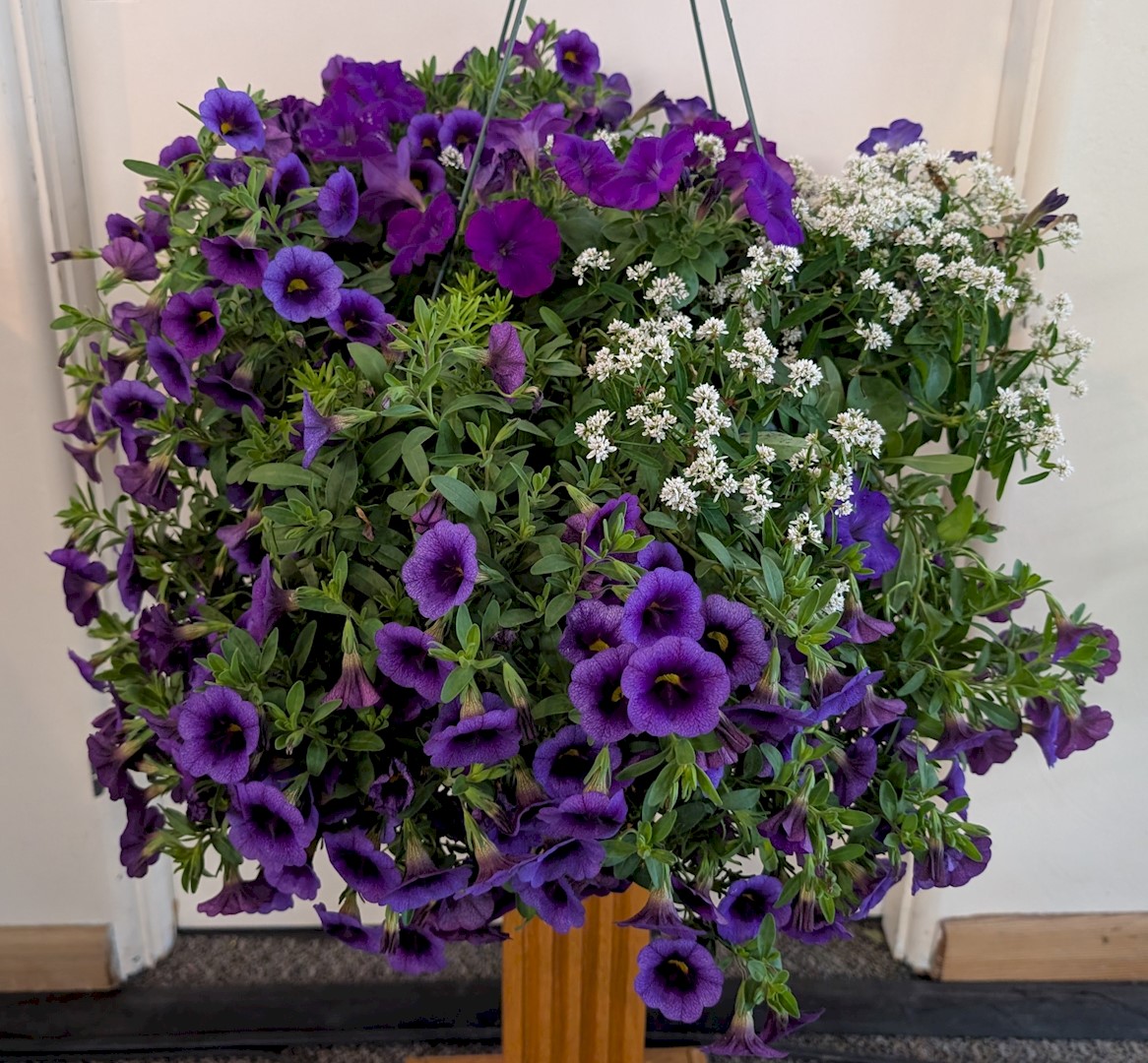 Flowers from Jim and Debbie Antonsen and Families